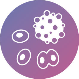 asset-372x cancer cells